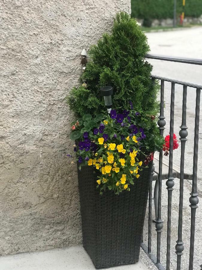 Apartmán Casa Paolina - Cipat 57814 Revò Exteriér fotografie