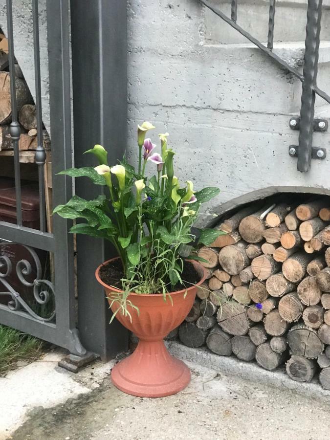 Apartmán Casa Paolina - Cipat 57814 Revò Exteriér fotografie